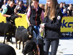 2019_ausstellung polling_266